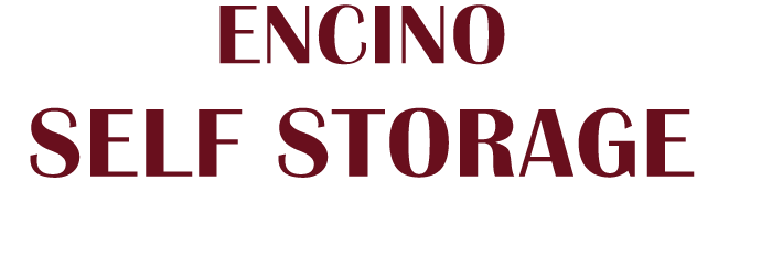Encino Self Storage logo